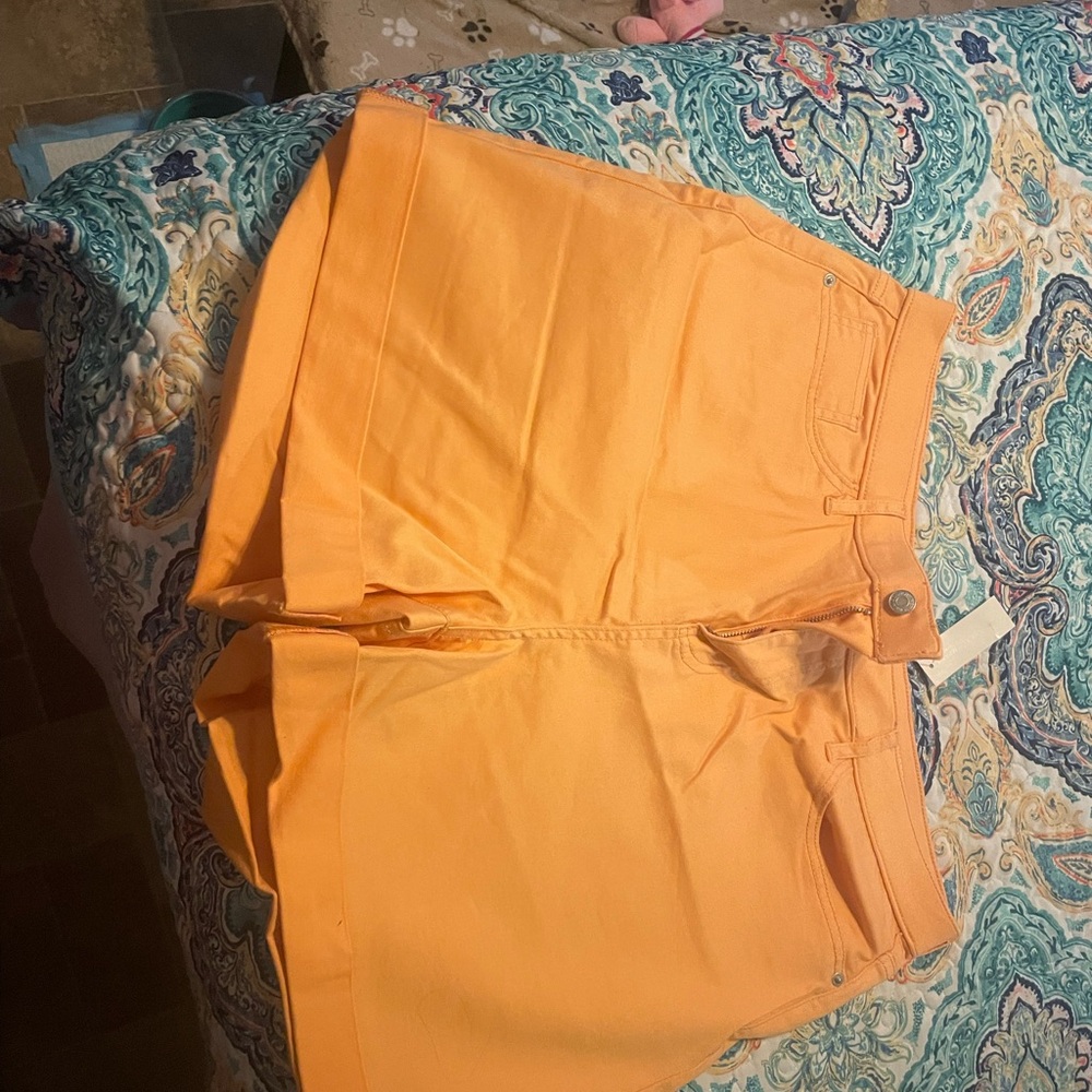 New York & Company High Waist Orange Shorts